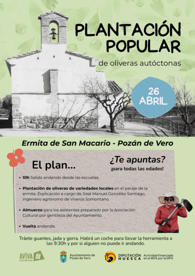 Imagen Los olivos, nuestro legado